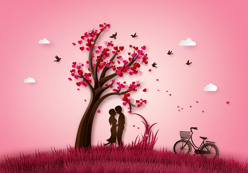 amour