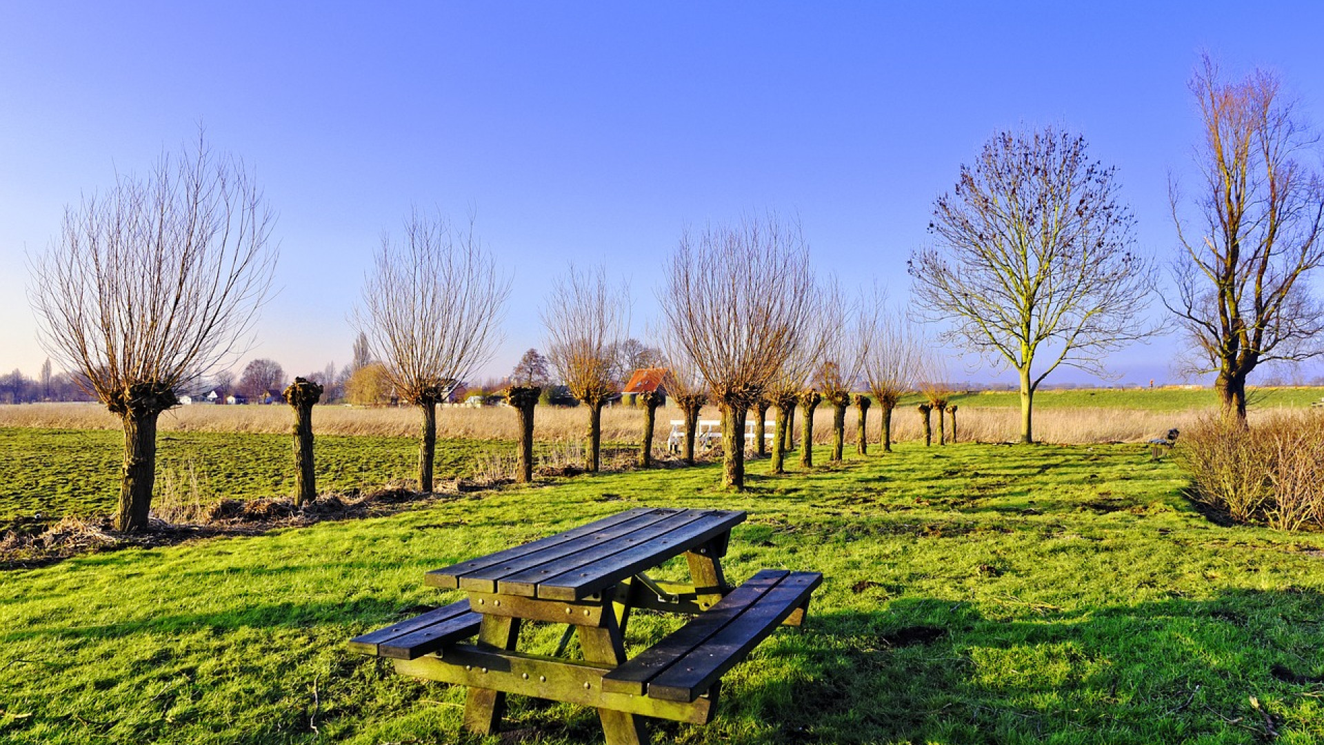 Table de jardin : pourquoi choisir une table en HPL ?