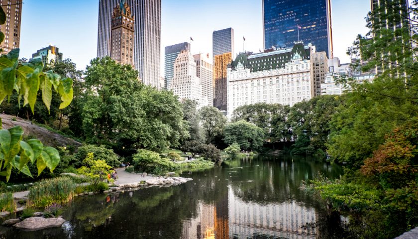 central park new york
