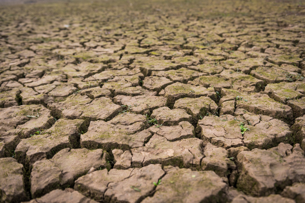 de la terre seche