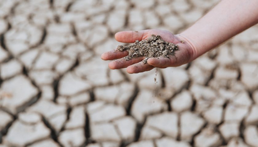 une personne tenant de la terre seche en main