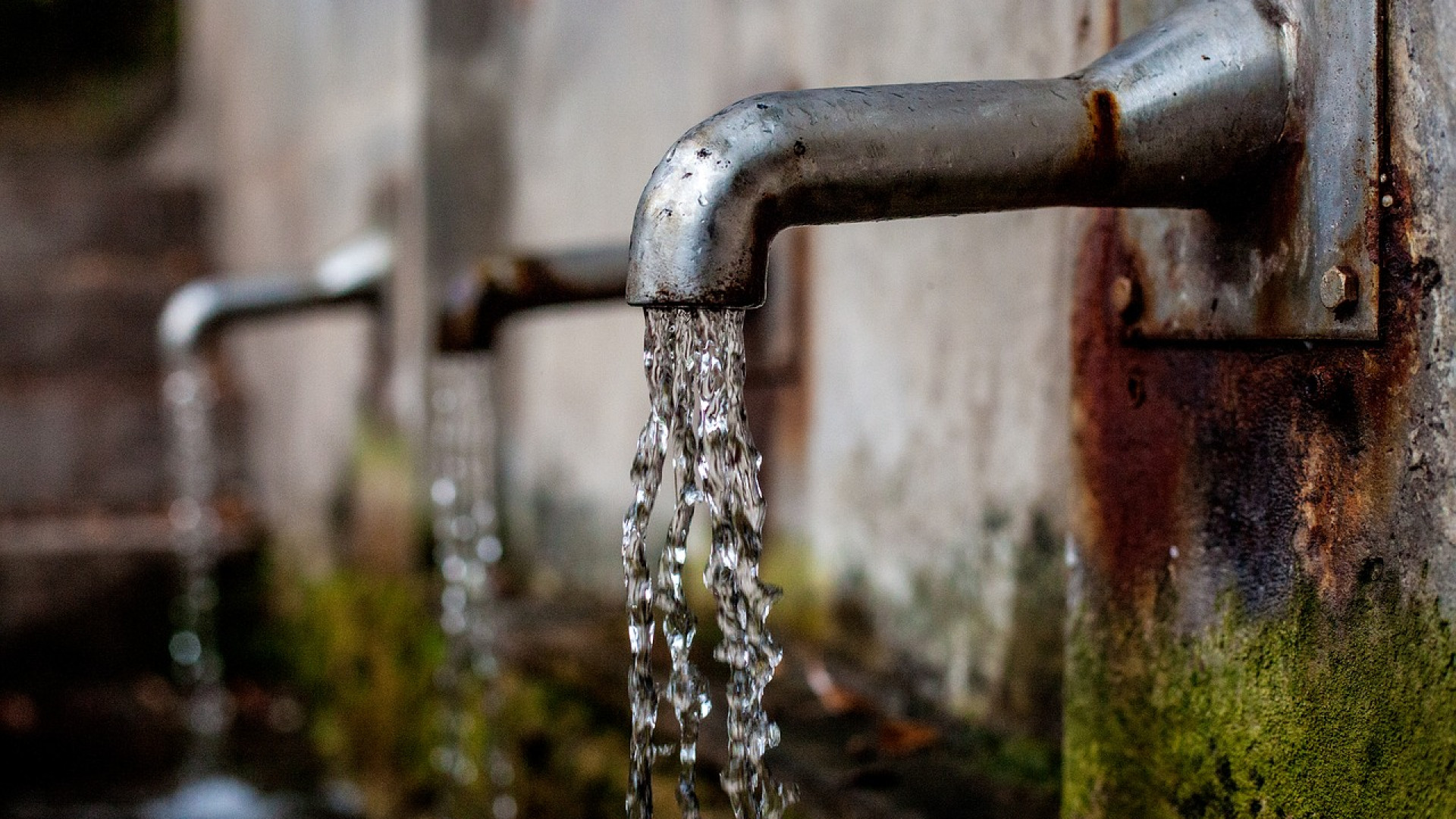 Faut-il choisir une fontaine avec une bonbonne ou sur réseau ?