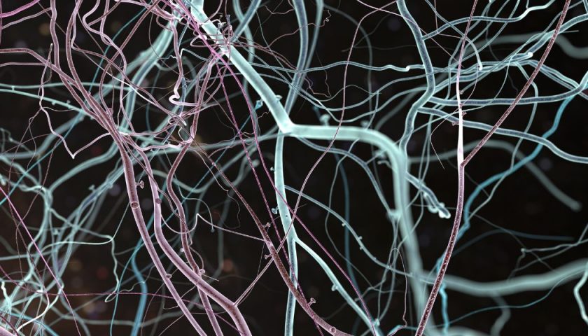 Neuropsychologue