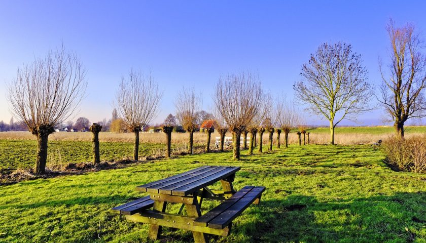 Table de jardin : pourquoi choisir une table en HPL ?