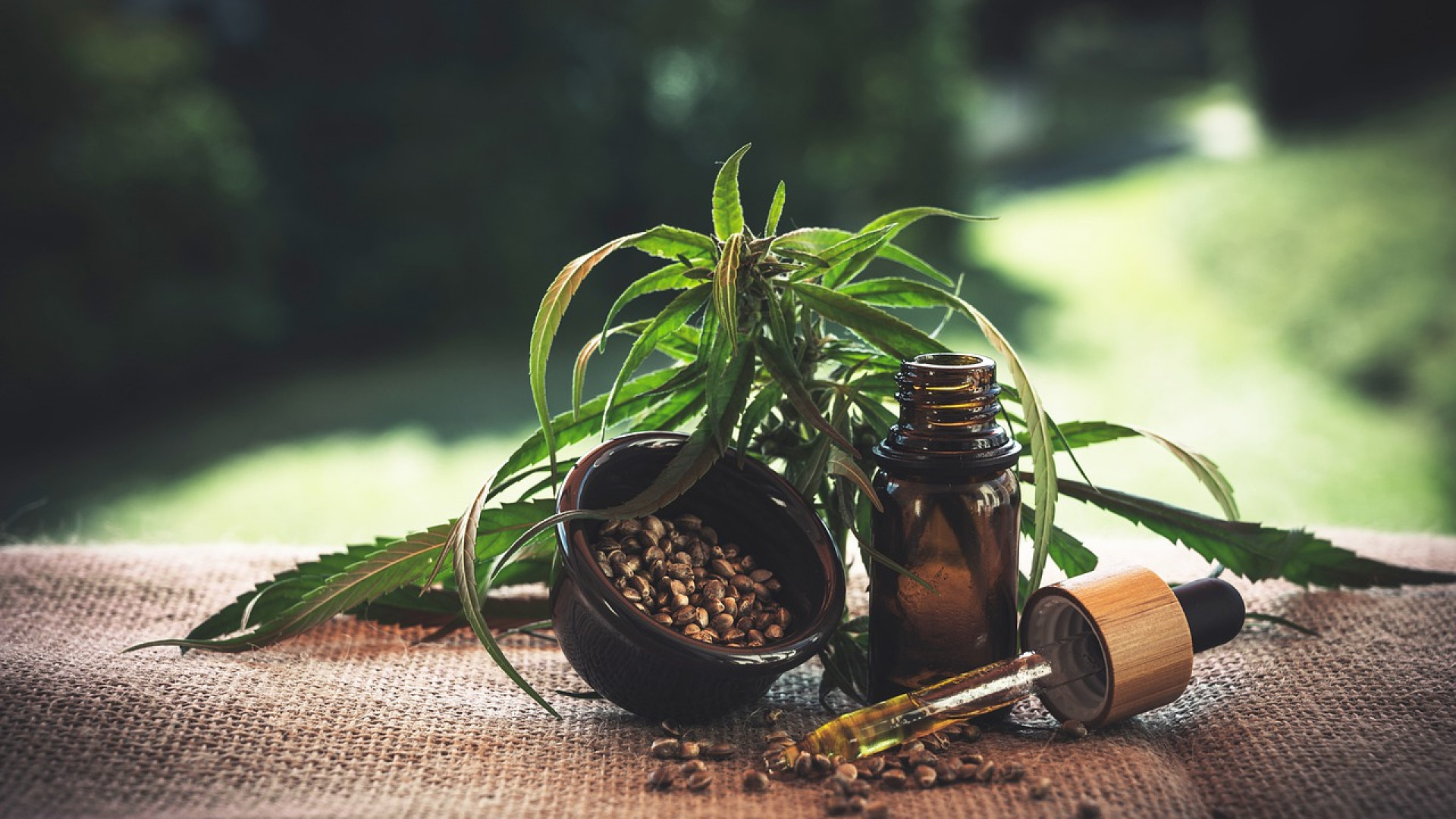 Quels sont les bienfaits du CBD ?