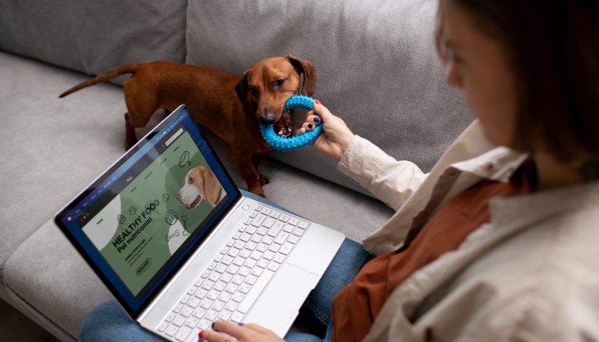 Éducation canine en ligne