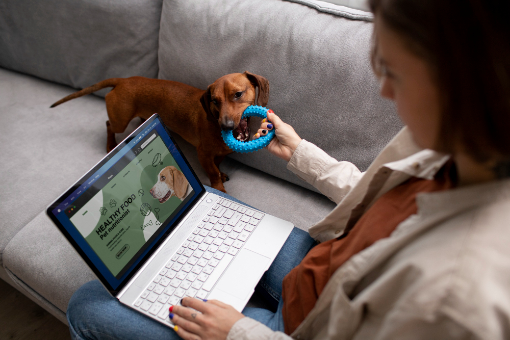 Éducation canine en ligne